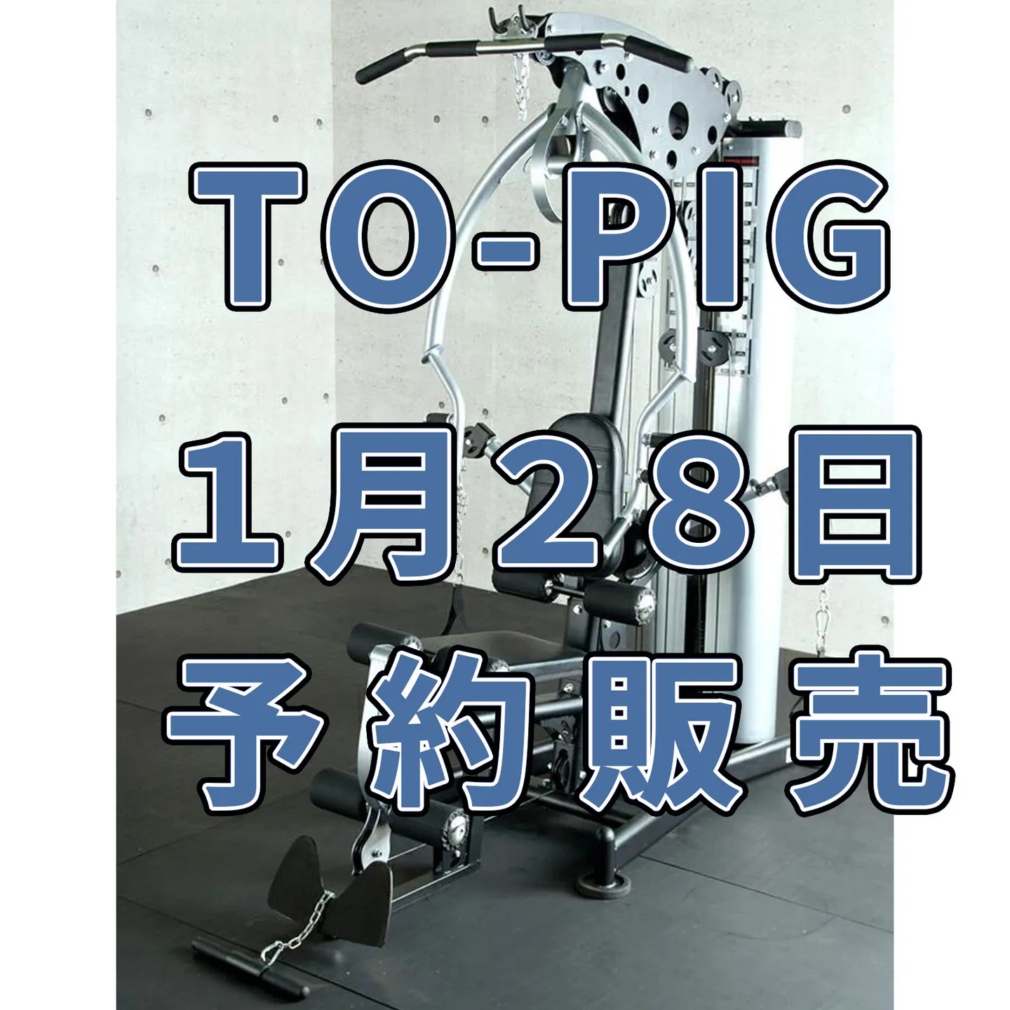 大人気商品パワーインテグレーションジムWOT[TO-PIG]...
